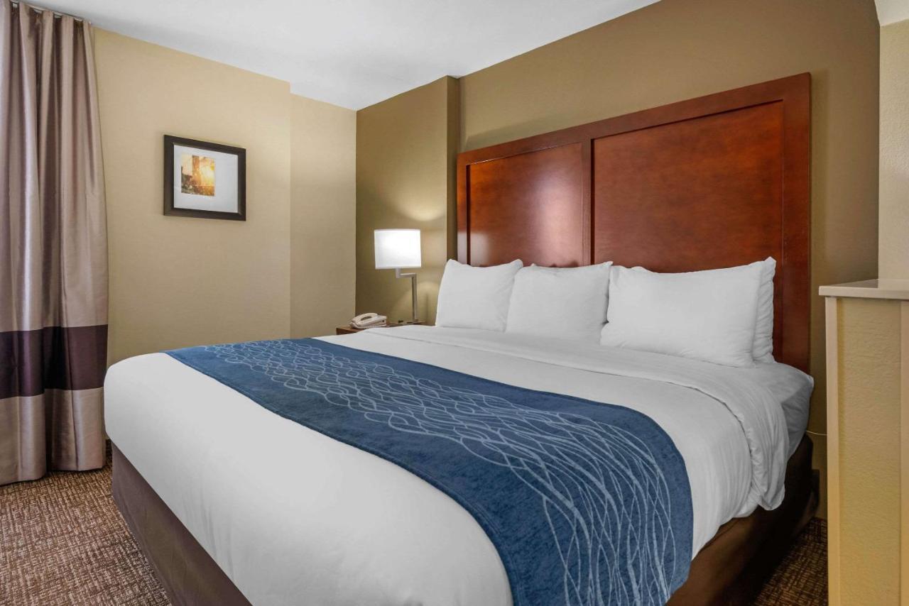 Comfort Inn Ocala Silver Springs Bagian luar foto